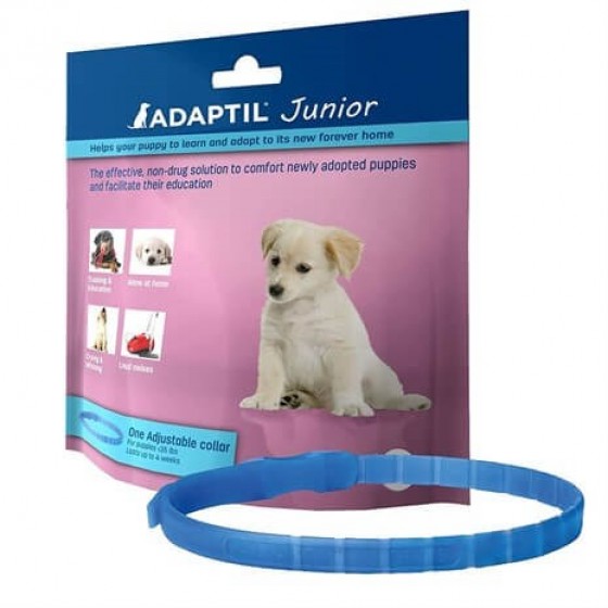 Adaptil Junior Yavru Köpek Sakinleştirici Tasma