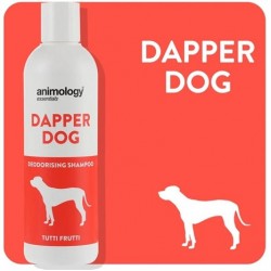 Animology Essentials Dapper Dog Koku Giderici Köpek Şampuanı 250ml
