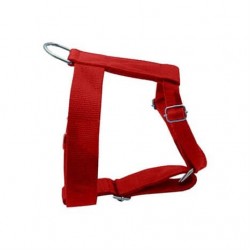 Apco Özel Kalın Üç Ayarlı Bel Tasması No:3 Kırmızı