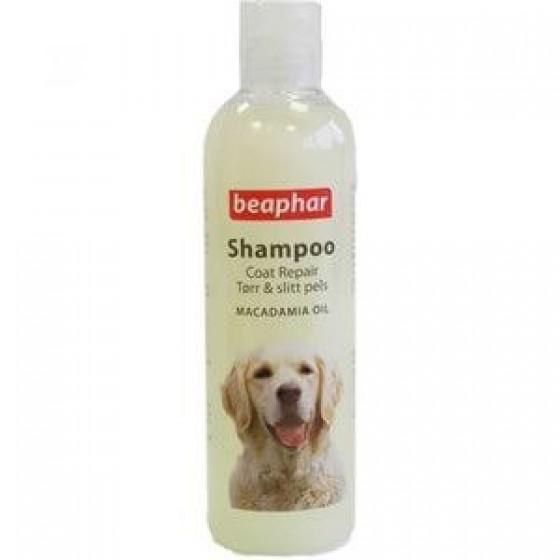 Beaphar Glossy Coat Köpek Şampuanı Parlak Tüyler 250 Ml