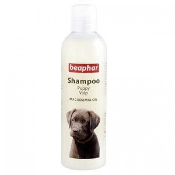 Beaphar Glossy Coat Yavru Köpek Şampuanı Parlak Tüyler 250 Ml