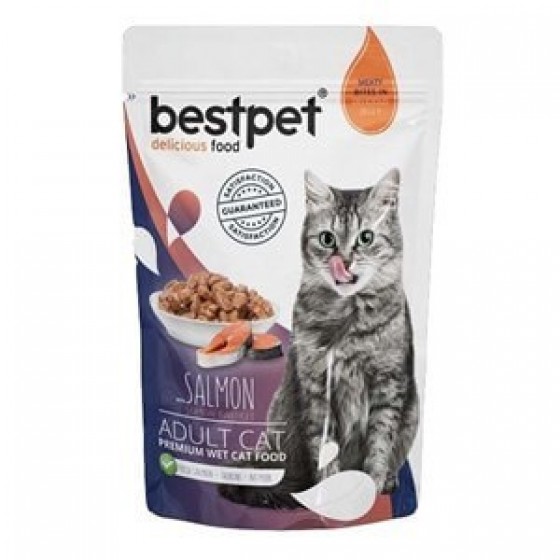 BestPet Adult Jelly Pouch Somonlu Kedi Maması 85 Gr