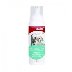 Bioline Pati Temizleme Köpüğü 150 Ml