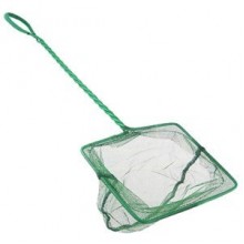 Boyu FN-4 Plastik Saplı Kepçe 10 Cm