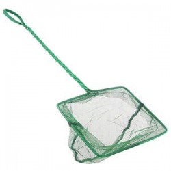 Boyu FN-8 Plastik Saplı Kepçe 25 Cm Boyu FN-8 Plastik Saplı Kepçe 25 Cm