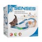 Catit Senses Speed Circuit Kedi Oyuncağı Hız Çemberi