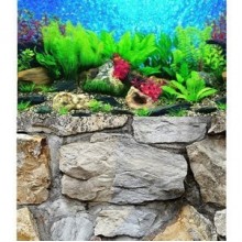 Chicos Çift Yüzlü Resimli Akvaryum Arka Fonu 100x28 Cm