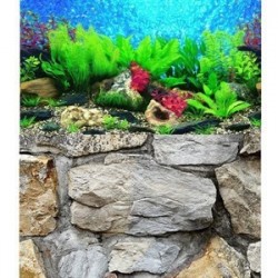 Chicos Çift Yüzlü Resimli Akvaryum Arka Fonu 100x28 Cm Chicos Çift Yüzlü Resimli Akvaryum Arka Fonu 100x28 Cm