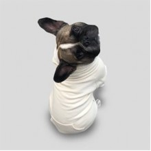 CreamGrey Ivory Fermuarlı Bej Köpek Sweatshirt Large