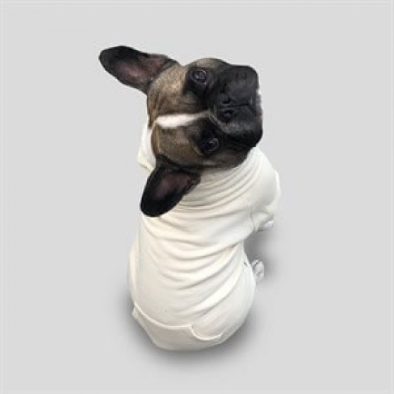 CreamGrey Ivory Fermuarlı Bej Köpek Sweatshirt XS