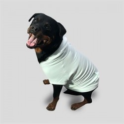 CreamGrey Minty Fermuarlı Yeşil Köpek Sweatshirt XS CreamGrey Minty Fermuarlı Yeşil Köpek Sweatshirt XS