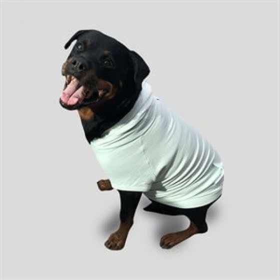 CreamGrey Minty Fermuarlı Yeşil Köpek Sweatshirt XS