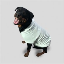 CreamGrey Minty Fermuarlı Yeşil Köpek Sweatshirt XL