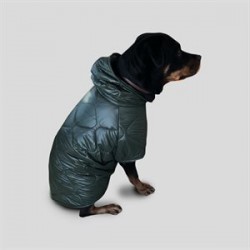 CreamGrey Nova Köpek Mont ve Yağmurluk Large CreamGrey Nova Köpek Mont ve Yağmurluk Large