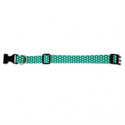 Dalis Köpek Boyun Tasması M Boy 25-40 cm Yeşil Dalis Köpek Boyun Tasması M Boy 25-40 cm Yeşil