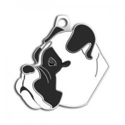 Dalis Pet Tag Boxer Köpek Künyesi (Beyaz) Dalis Pet Tag Boxer Köpek Künyesi (Beyaz)