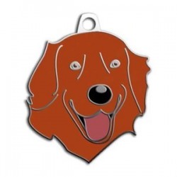 Dalis Pet Tag Kızıl Golden Retriever Köpek Künyesi