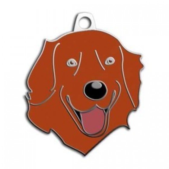 Dalis Pet Tag Kızıl Golden Retriever Köpek Künyesi