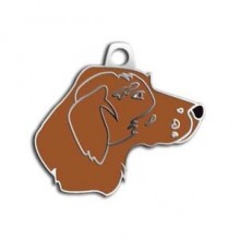 Dalis Pet Tag Pointer Köpek Künyesi (Kahverengi)