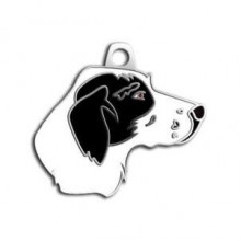 Dalis Pet Tag Pointer Köpek Künyesi (SiyahBeyaz)