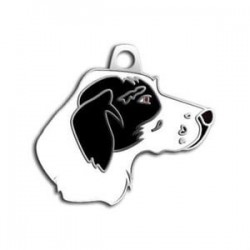 Dalis Pet Tag Pointer Köpek Künyesi (SiyahBeyaz)