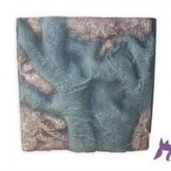 Dansor Akvaryum Dekoru Fossil 45x45x5 Cm