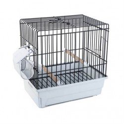 Dayang Düz İki Kapılı Renkli Muhaabbet Kafesi 30x23x39 Cm