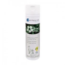 Dermoscent PyoClean Yatıştırıcı ve Arındırıcı Şampuan 200ml Dermoscent PyoClean Yatıştırıcı ve Arındırıcı Şampuan 200ml