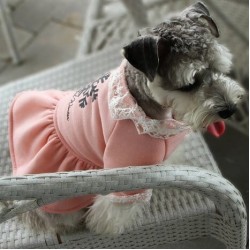 Dobaz Dantelli Pembe Köpek Elbisesi XL Dobaz Dantelli Pembe Köpek Elbisesi XL