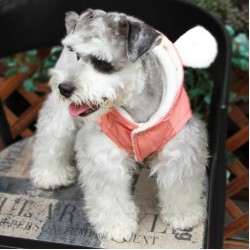 Dobaz Kürklü Tavşan Köpek Montu Medium