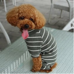 Dobaz Şeritli İnce Köpek Tulumu Yeşil XL