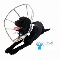 DogCatPlus Elizabeth Şeffaf Yakalık XLARGE DogCatPlus Elizabeth Şeffaf Yakalık XLARGE