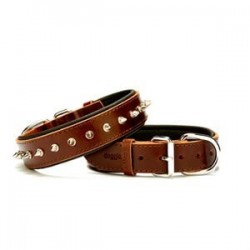 Doggie Comfort Çivili Deri Boyun Tasması M 3,5x47-55cm Kahve Doggie Comfort Çivili Deri Boyun Tasması M 3,5x47-55cm Kahve