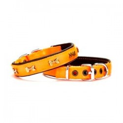 Doggie Comfort Metal İşlemeli Köpek Tasması M 2,5x37-45cm Turuncu Doggie Comfort Metal İşlemeli Köpek Tasması M 2,5x37-45cm Turuncu
