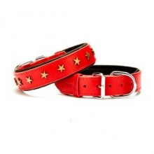 Doggie Comfort Yıldız Metal Süslü Deri Boyun Tasması M 3x42-50cm Kırmı