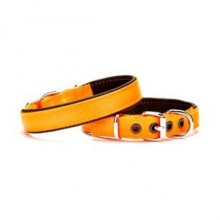 Doggie Comfort Yumuşak Dokuma Köpek Tasması M 2,5x37-45cm Turuncu