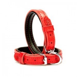 Doggie Deri Boyun Tasması M 1,5x25-30cm Kırmızı