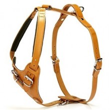 Doggie Dragon Göğüs Tasması XL 3x80-90cm Camel