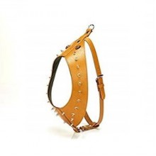 Doggie Gladyatör Dikenli Göğüs Tasması M 2x65-70cm Camel
