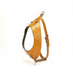 Doggie Gladyatör Dikenli Göğüs Tasması XL 3x80-90cm Camel