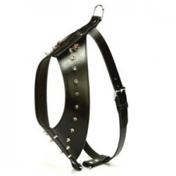 Doggie Gladyatör Dikenli Göğüs Tasması M 2x65-70cm Siyah Doggie Gladyatör Dikenli Göğüs Tasması M 2x65-70cm Siyah