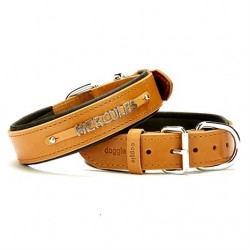 Doggie İsimlikli Deri Boyun Tasması M 3,5x47-55cm Camel