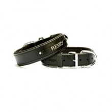 Doggie İsimlikli Deri Boyun Tasması M 3,5x47-55cm Siyah