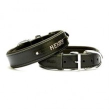 Doggie İsimlikli Deri Boyun Tasması S 2x30-35cm Siyah