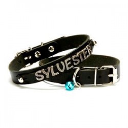 Doggie Kedi Ve Yavru Köpek İsimlikli Deri Boyun Tasması 1,2x25-29cm Si