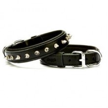 Doggie Comfort Çivili Deri Boyun Tasması L 3,5x52-60cm Siyah