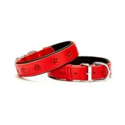 Doggie Patili Deri Boyun Tasması M 2,5x37-45cm Kırmızı Doggie Patili Deri Boyun Tasması M 2,5x37-45cm Kırmızı