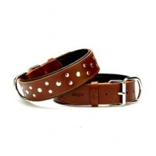 Doggie Rivetli Deri Boyun Tasması M 3,5x47-55cm Kahve