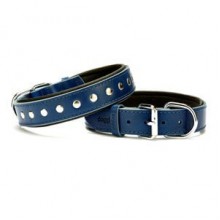 Doggie Rivetli Deri Boyun Tasması M 3,5x47-55cm Mavi