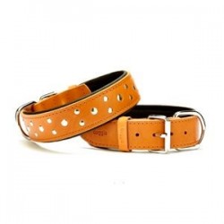 Doggie Rivetli Deri Boyun Tasması M 2x35-40cm Camel
